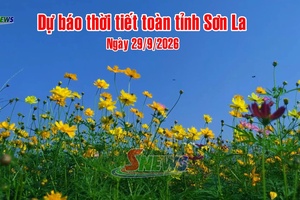 'Dự báo thời tiết toàn tỉnh Sơn La ngày 29/9/2026