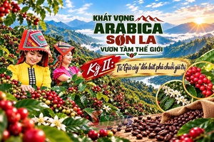 ARABICA SƠN LA - VƯƠN TẦM THẾ GIỚI • Kỳ II: Từ "Giữ cây" đến bứt phá chuỗi giá trị 