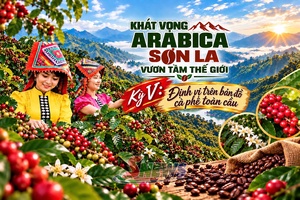 'KHÁT VỌNG ARABICA SƠN LA – VƯƠN TẦM THẾ GIỚI • Kỳ V: Tự tin bước vào kỷ nguyên mới với tâm thế của một thương hiệu toàn cầu