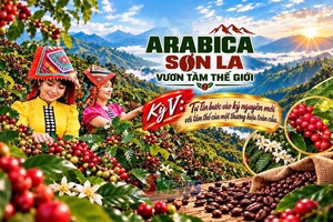 'ARABICA SƠN LA – VƯƠN TẦM THẾ GIỚI • Kỳ V: Tự tin của một thương hiệu toàn cầu