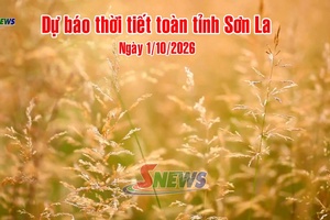 'Dự báo thời tiết toàn tỉnh Sơn La ngày 1/10/2026