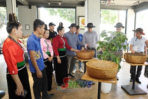 'Công ty CP Phúc Sinh Sơn La chuẩn bị các hoạt động cho Lễ hội Cà phê