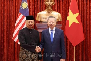 Tổng Bí thư, Chủ tịch nước Tô Lâm tiếp đại sứ các nước trình quốc thư