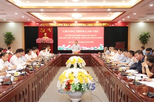 Đẩy nhanh tiến độ triển khai các dự án thu hút đầu tư thuộc lĩnh vực năng lượng