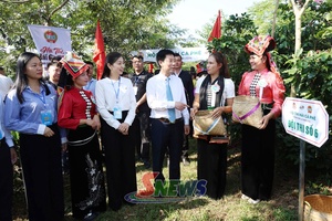 Đua tốc độ hái cà phê chín tại Hội thi "So tài nhà nông"