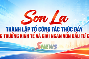 Sơn La thành lập Tổ công tác thúc đẩy tăng trưởng kinh tế và giải ngân vốn đầu tư công