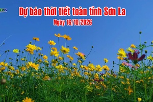 'Dự báo thời tiết toàn tỉnh Sơn La ngày 16/10/2026