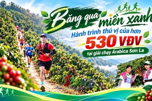 ' Băng qua miền xanh - Hành trình thú vị của hơn 530 VĐV tại giải chạy Arabica Sơn La