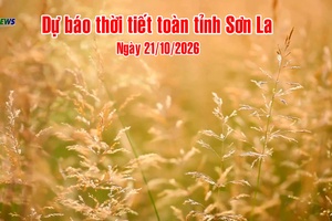 'Dự báo thời tiết toàn tỉnh Sơn La ngày 21/10/2026