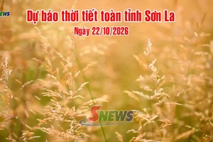 'Dự báo thời tiết toàn tỉnh Sơn La ngày 22/10/2026