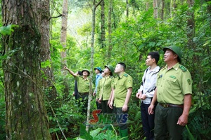 Sơn La xây dựng hồ sơ đề cử Khu dự trữ sinh quyển thế giới Mường La - Tà Xùa