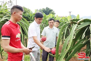 Mự pày cờ sở tẳng tánh bản na máư nẳng xã Chiêng Pha