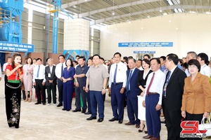 Son La Coffee Processing Plant inaugurated