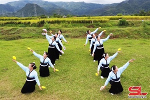 Phu Yen Culture and Tourism Festival to take place on November 25