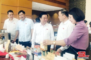 Tỉnh Sơn La cáo ảng cà phê Arabica nẳng Ky họp thứ 6, Quốc hội khoá XV