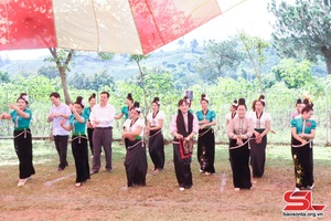 Provincial Party official attends Great National Unity Day in Heo Trai hamlet