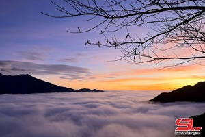 Ta Xua in "cloud hunting" season