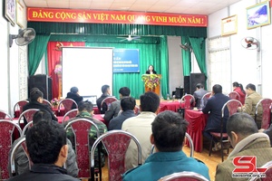 Son La holds training on organic coffee farming