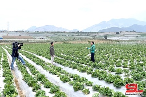 Quày hún Chương trình “Po hay me na dệt dượn giỏi chang” nẳng Sơn La