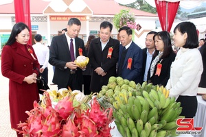 Lễ tống páo xã Chiềng Pha cựt đảy luông pùn bản na máư