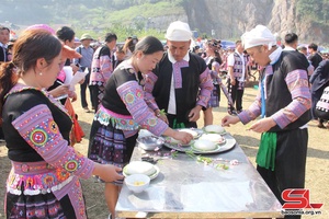 Long Luong peach blossom festival kicks off