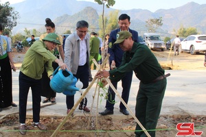 'Muong La plants trees, launches “All people engage in irrigation” movement