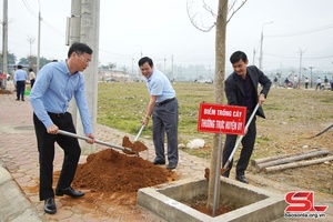 Phu Yen district launches tree planting festival