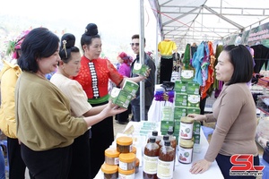 Muong La Hawthorn Flower Festival 2024: Agricultural, cultural products on display