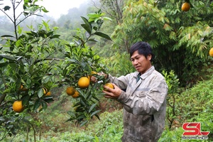 Chieng Yen expands fruit tree area