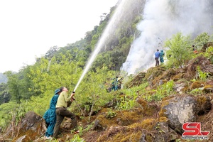 'Van Ho conducts forest fire fighting, search and rescue drill in 2024