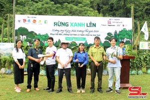 "Greener Forests" programme held in Van Ho district