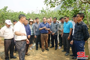 'Đẩy mạnh hợp tác về nông nghiệp với các tỉnh nước bạn Lào