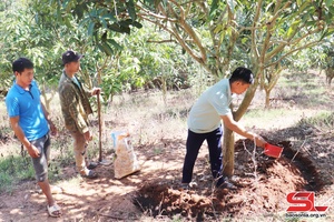 Hướng dẫn nhân dân chuyển đổi sản xuất, nâng cao thu nhập