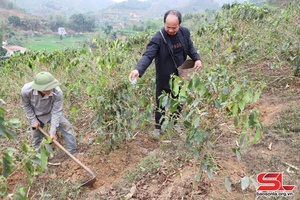 'Chiềng Dong xây dựng nông thôn mới