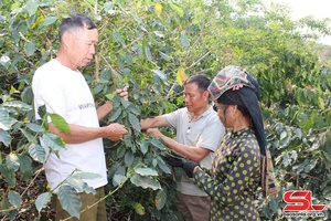 Lựa chọn mô hình kinh tế phù hợp để thoát nghèo