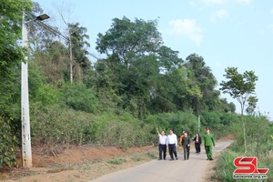 Rực sáng những tuyến đường