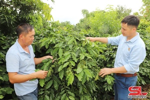 Đảng bộ xã Chiềng Ban lãnh đạo xây dựng nông thôn mới kiểu mẫu