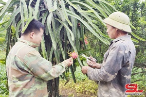 Phát huy vai trò người có uy tín trong đồng bào dân tộc thiểu số