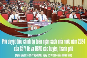 'Nghị quyết số 357/NQ-HĐND ngày 12/7/2024 của HĐND tỉnh