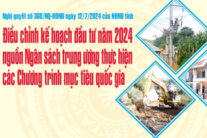 Nghị quyết số 360/NQ-HĐND ngày 12/7/2024 của HĐND tỉnh