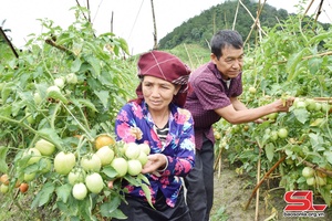 Phong trào “Tuổi cao gương sáng”