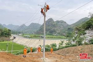 Chủ động phòng, chống thiên tai bảo đảm an toàn lưới điện