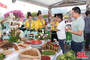 'Hỗ trợ doanh nghiệp, HTX sản xuất, tiêu thụ nông sản