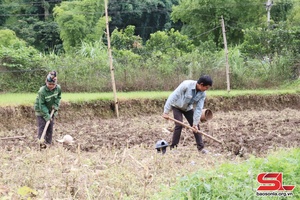 Chiềng Phung nỗ lực phát triển kinh tế