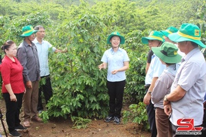 Chuyển giao kiến thức, khoa học kỹ thuật cho nông dân