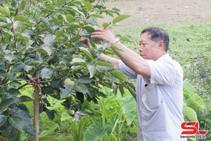 Phát huy vai trò “Tuổi cao - gương sáng”