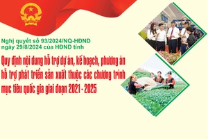 Quy định nội dung hỗ trợ dự án, kế hoạch, phương án hỗ trợ phát triển sản xuất thuộc các chương trình mục tiêu quốc gia giai đoạn 2021 - 2025