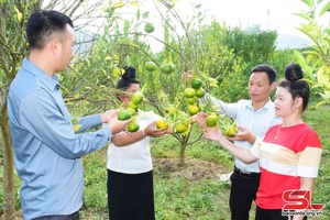 Sốp Cộp đa dạng các mô hình “Dân vận khéo”