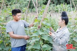 'Mường Bằng đẩy mạnh phát triển kinh tế