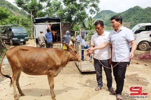 'Hỗ trợ sản xuất, nâng cao đời sống cho đồng bào các dân tộc